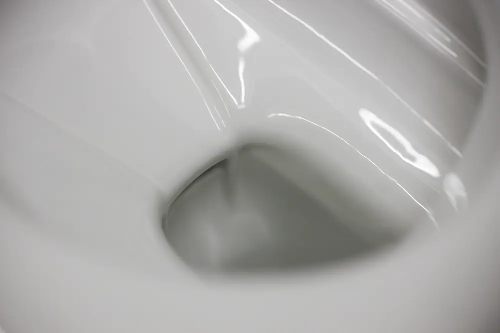 Swiss Engineers Have Developed A New Waterless Toilet - Blog - 3