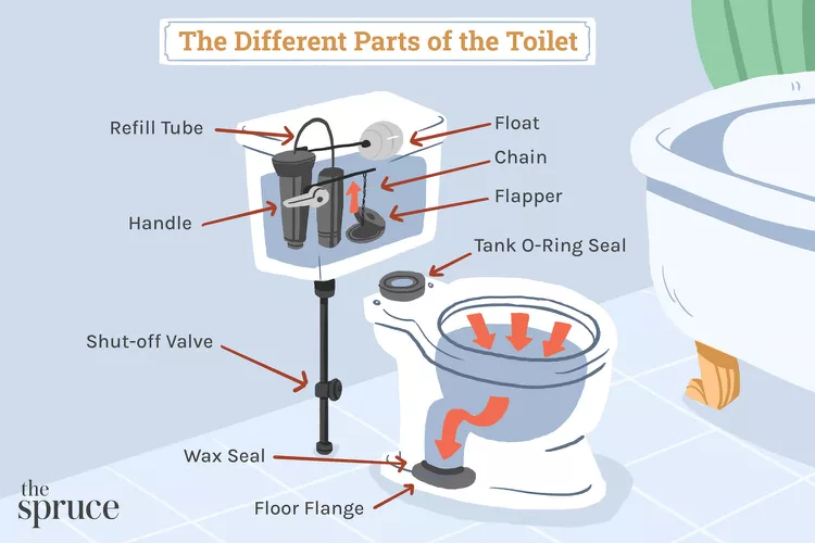 Learning the detail of toilet - News - 1